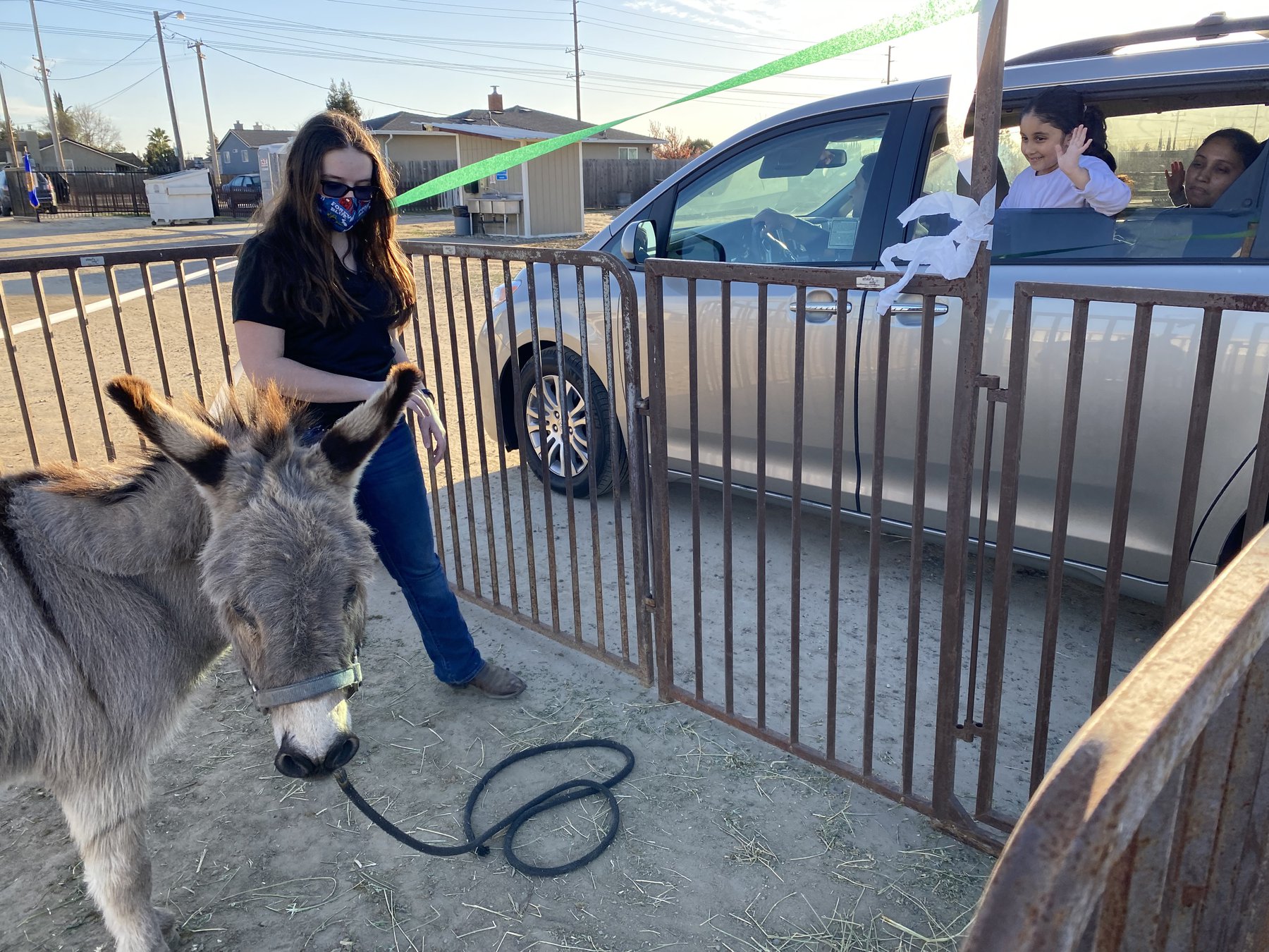 Drivethru zoo helps Pitman FFA connect with community Turlock Journal