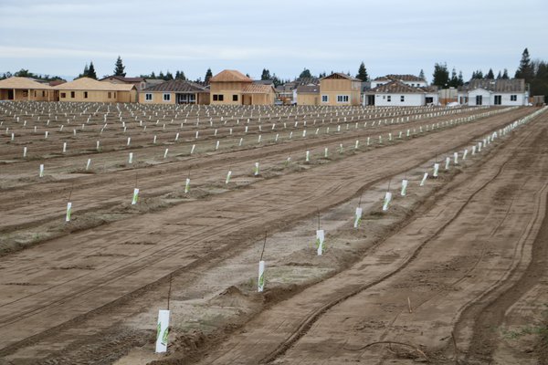 new homes almonds