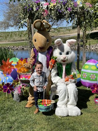 bunny