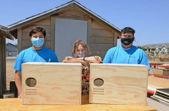 Skills Boxes