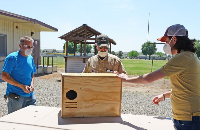 RHS Boxes