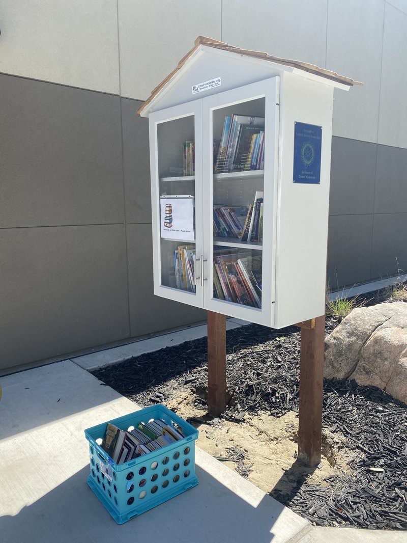 Little Free Libraries 2