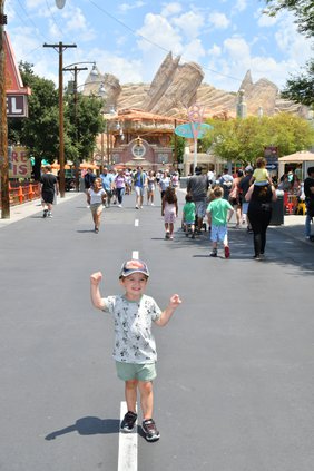 cars land