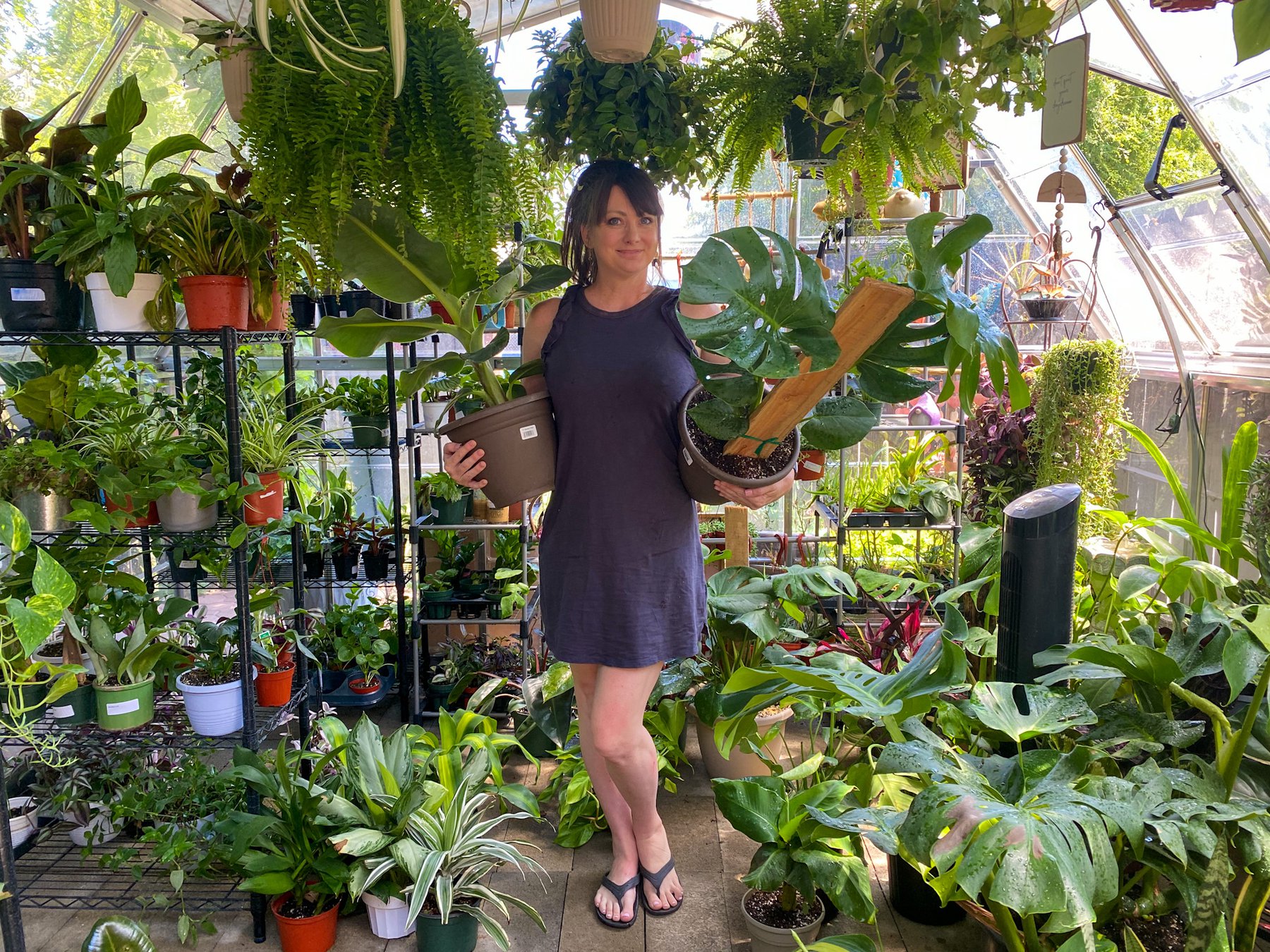 Backyard nursery offers plants at discounted prices - Turlock Journal