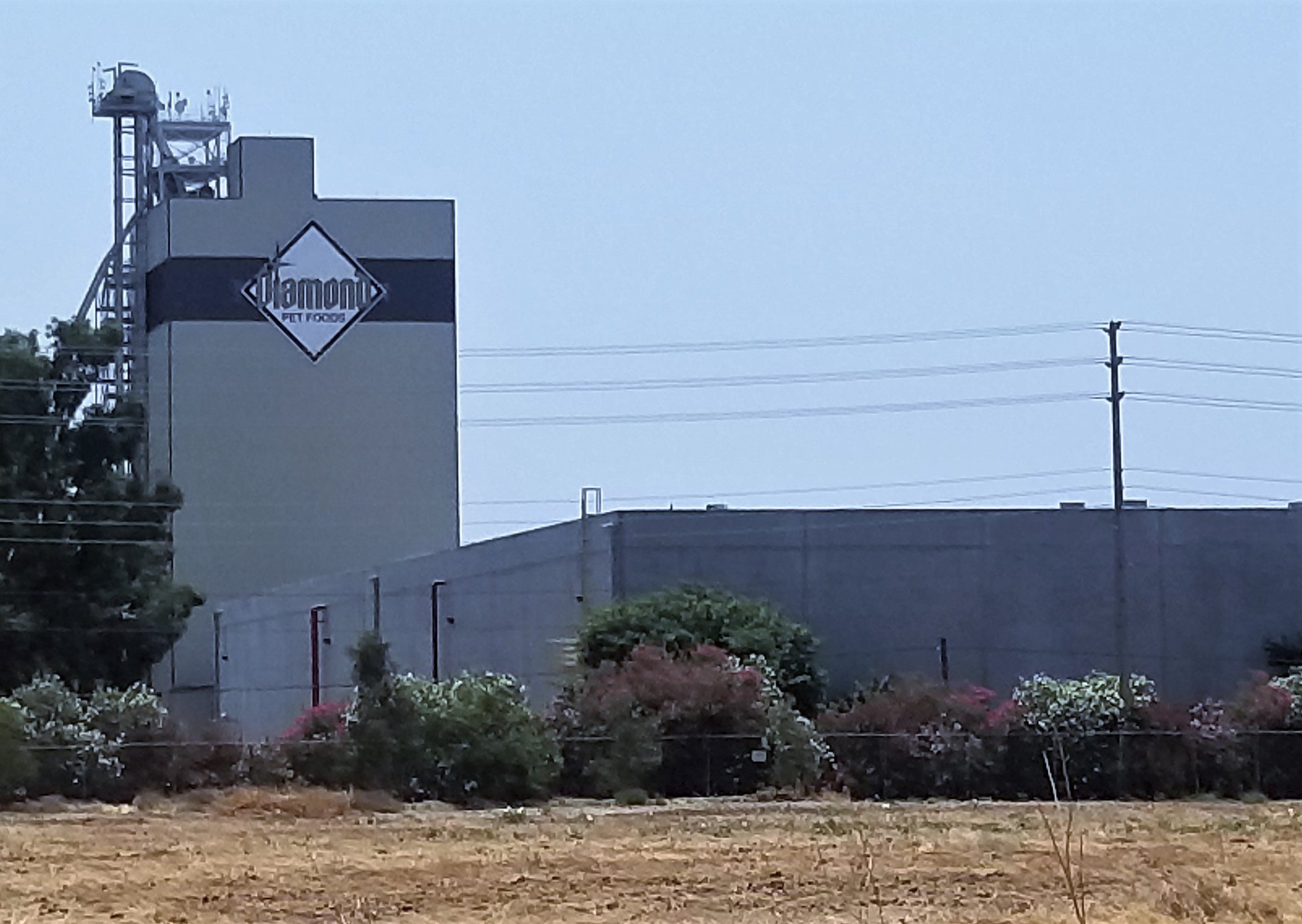 Diamond Pet Foods looks to add new warehouse Manteca Bulletin