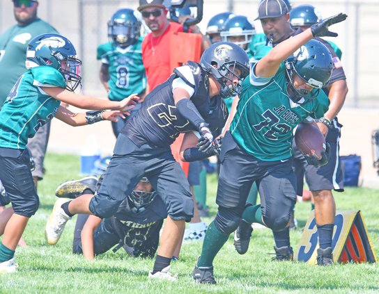 Bulletin sports fall 2021