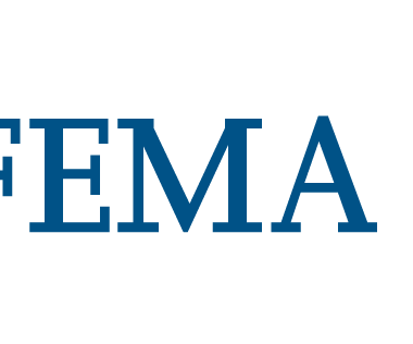 logo fema
