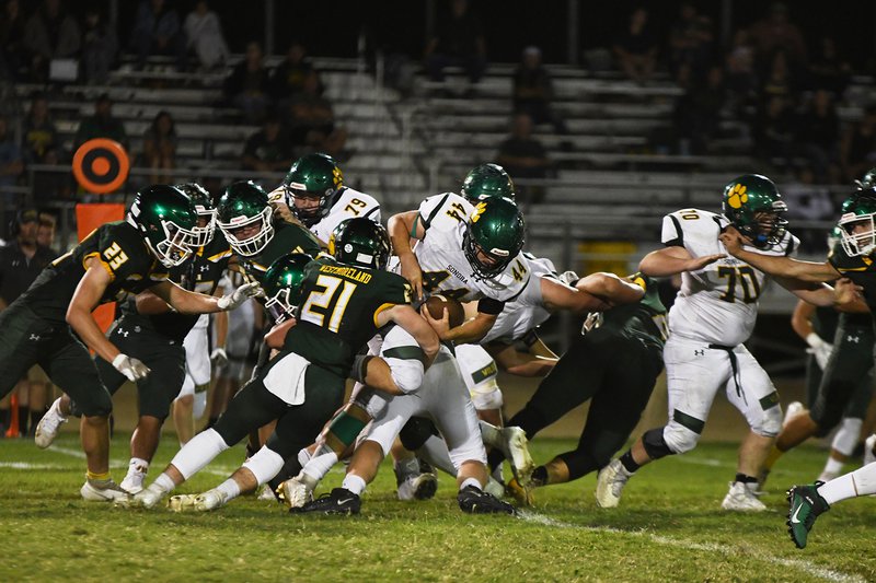 Hilmar football 2