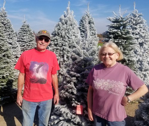 Beck's Christmas Tree Lot