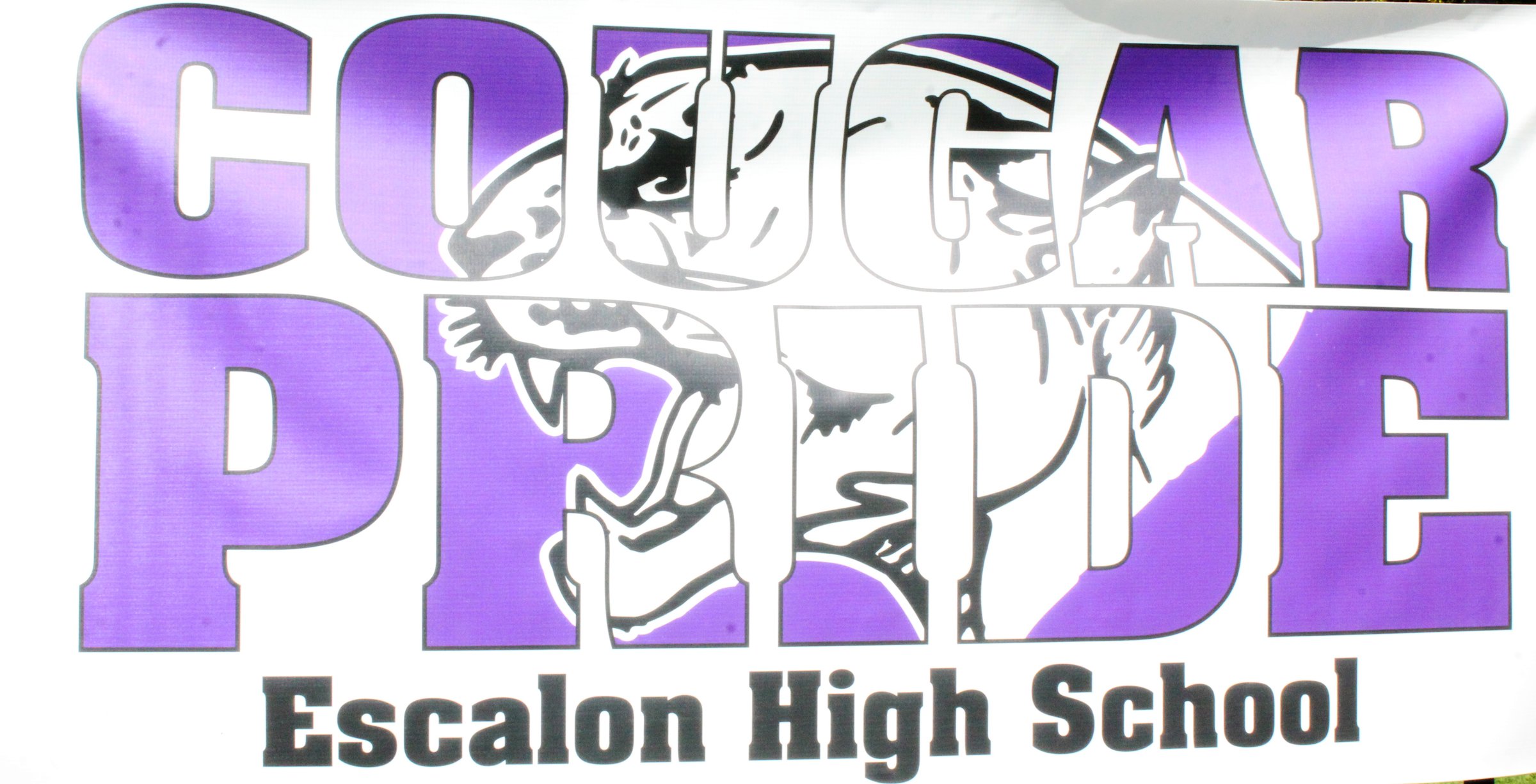 Annual Arts Showcase Slated At Escalon High Escalon Times
