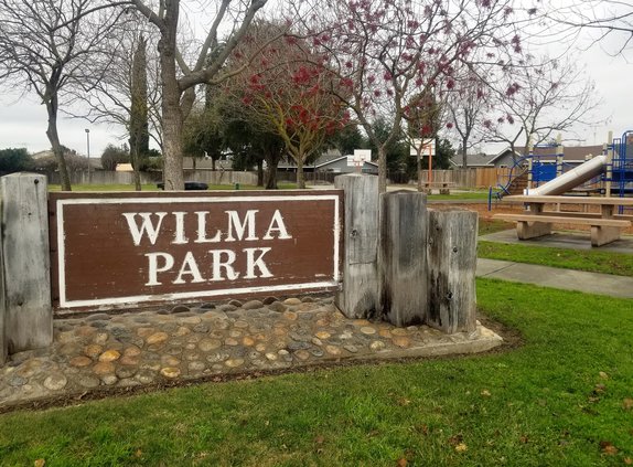 Wilma Park ripon
