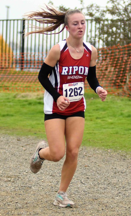 All-Area Fall