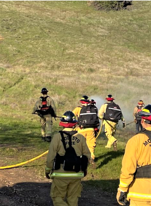 wildland