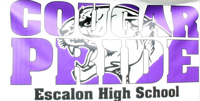 Escalon High students earn county, state music honors