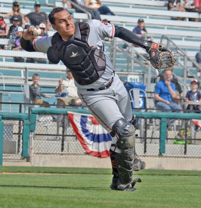 nuts catcher