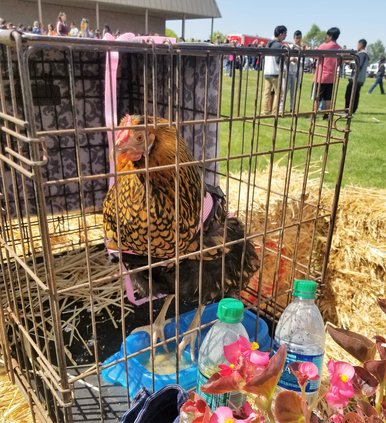 ag day