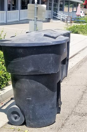 ripon cart