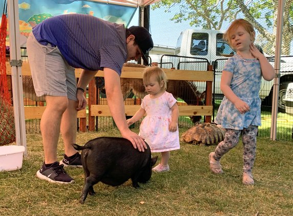 Street Faire petting zoo