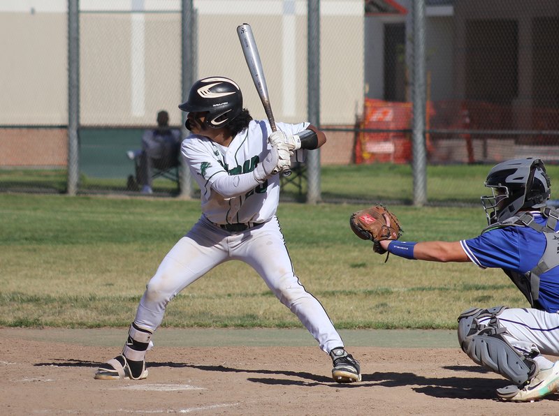 Pitman baseball 2