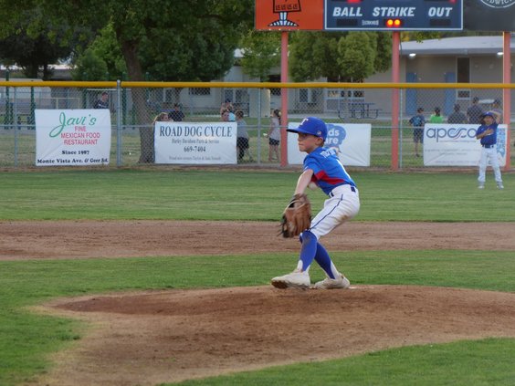 turlock american little league