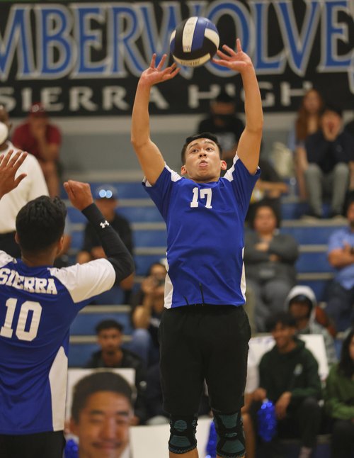 All-VOL boys volleyball