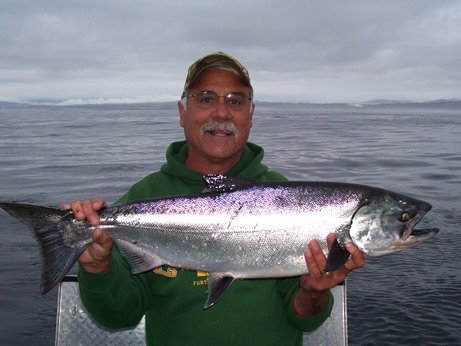 chinook salmon