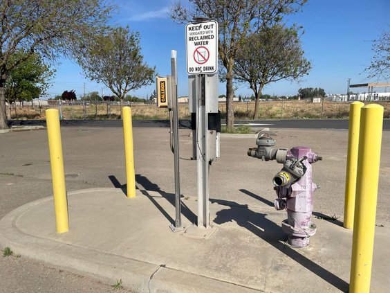 purple hydrant