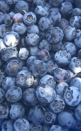 blueberries