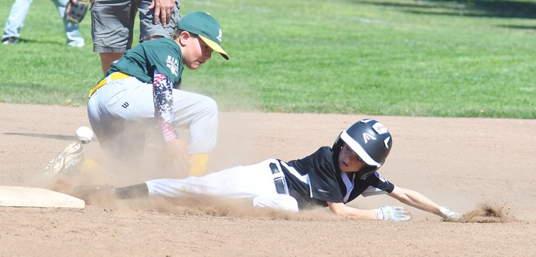 Little League Minor TOC