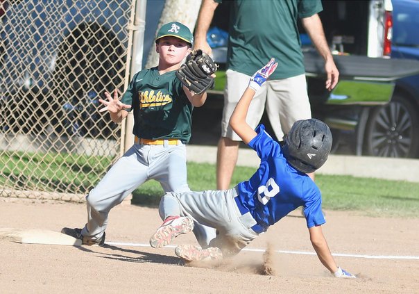 Little League Minor TOC