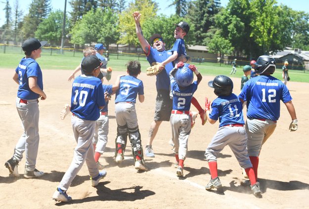 Little League Minor TOC