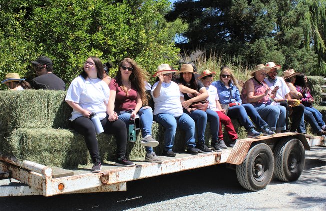 hay ride