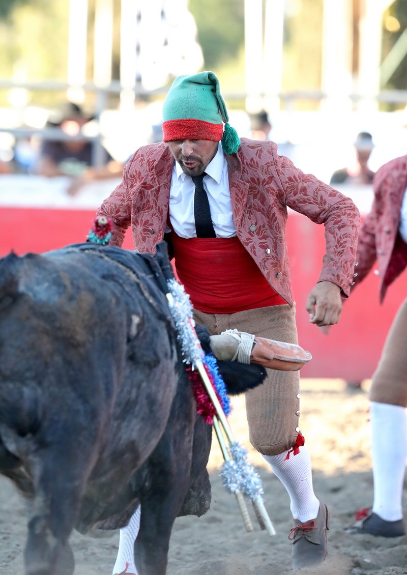 bullfights 4