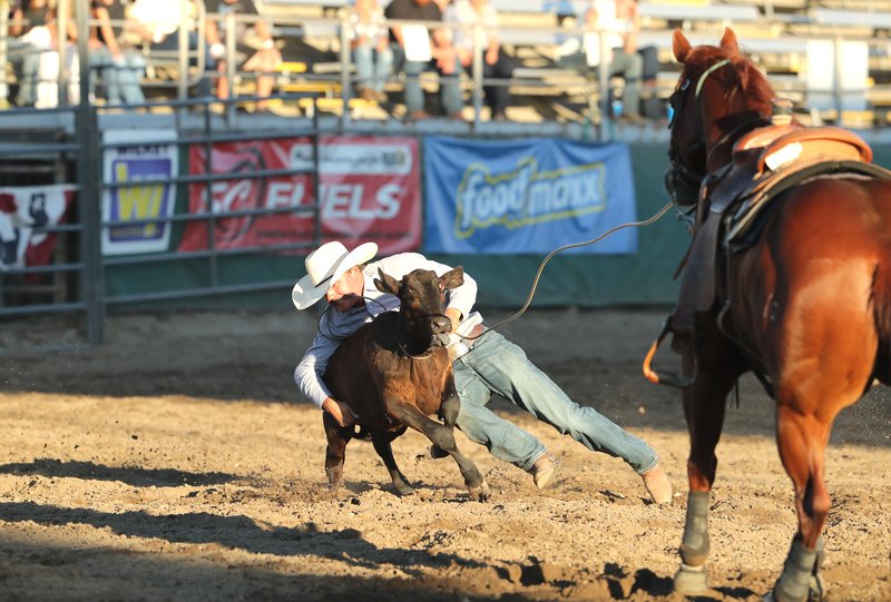 PRCA rodeo 6