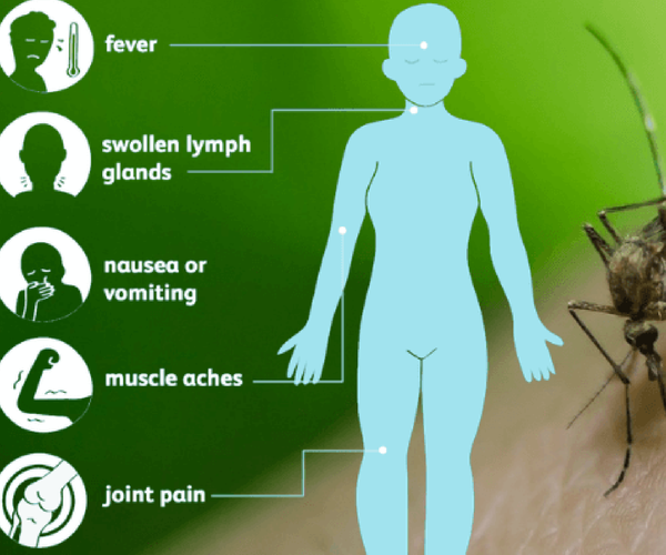 West Nile graphic A