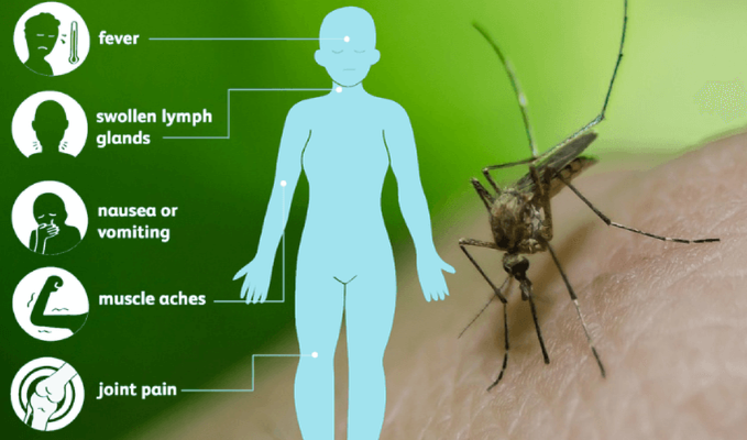 West Nile graphic A