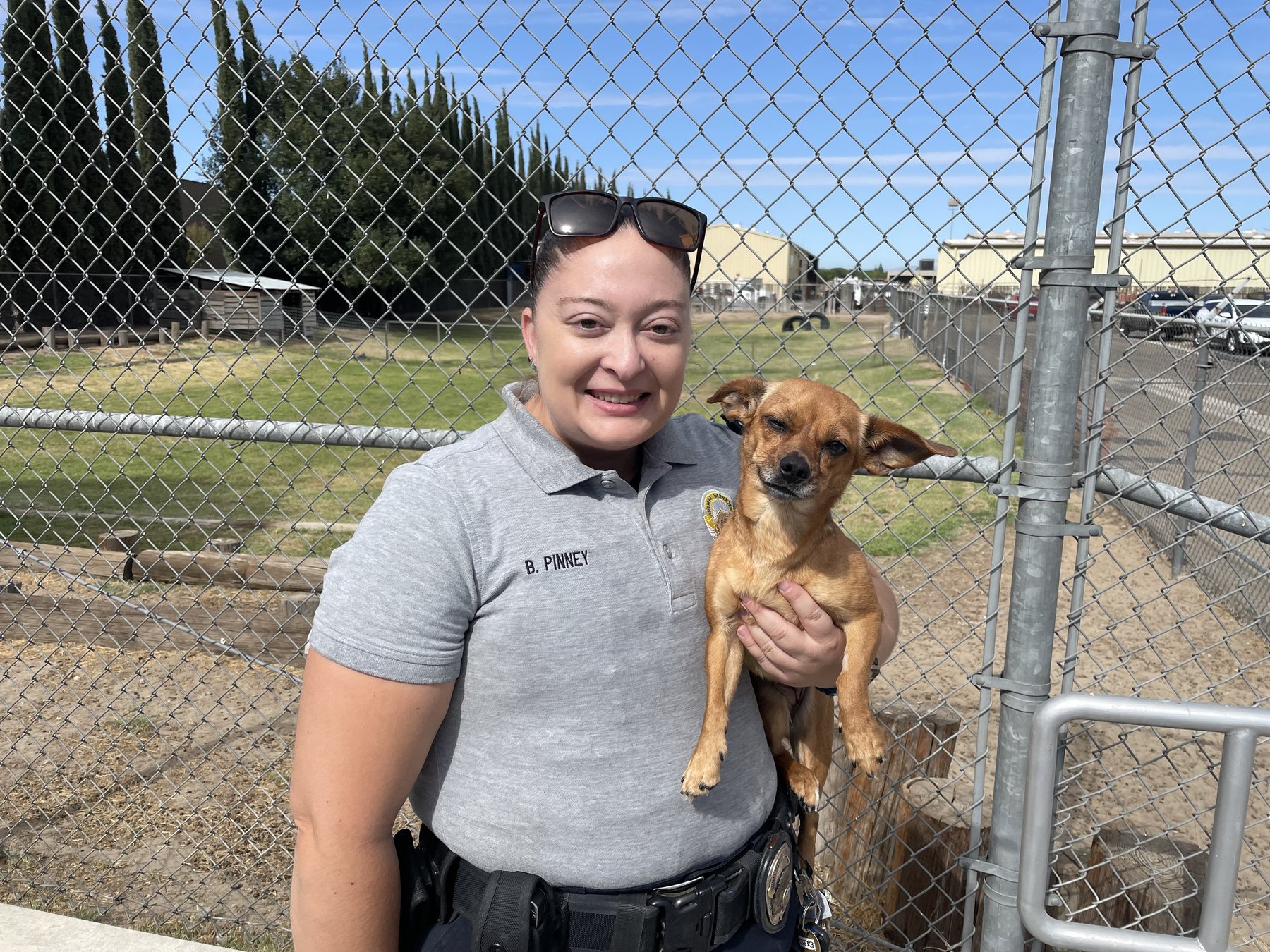 Animal shelter seeks to increase staffing, make volunteering easier