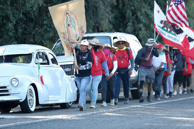 UFW 824