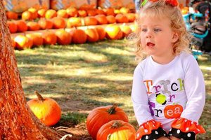 PUMPKIN FAIR
