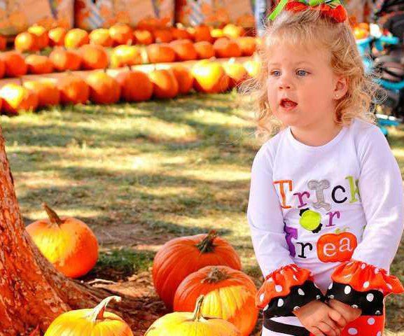 PUMPKIN FAIR