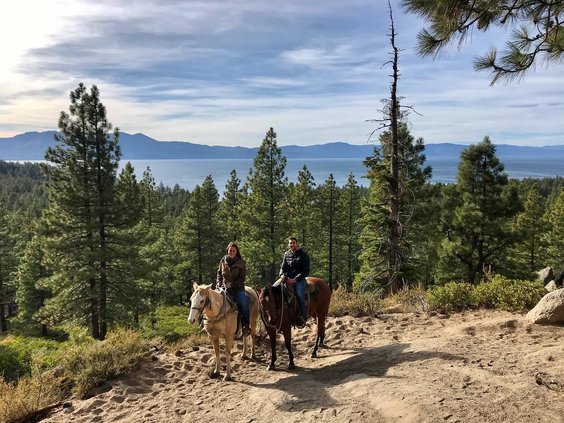 horse tahoe