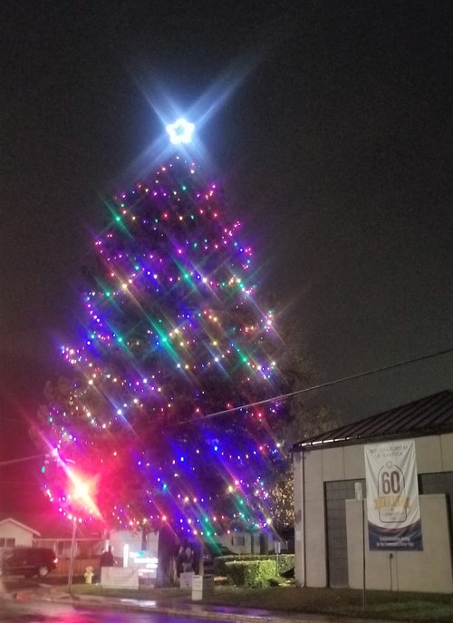 Tree of Lights