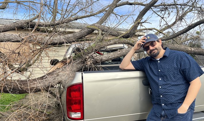 tree on truck