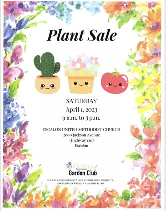 PLANT SALE GRAPHIC