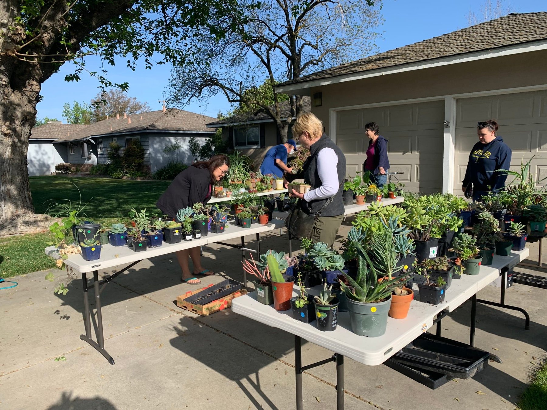 Garden club invites community to spring events Turlock Journal