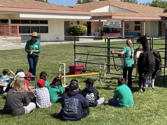 Sierra View Welcomes The Return Of Ag Day - Oakdale Leader - Vimarsana News