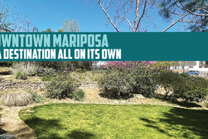 mariposa.png