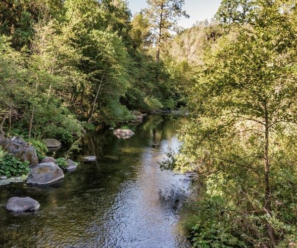SALMON HABITAT