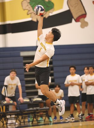 All-WAC spring teams
