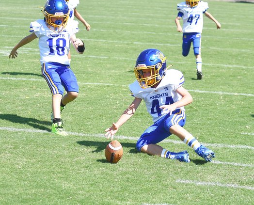 Ripon Knights novice